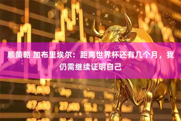 顺策略 加布里埃尔：距离世界杯还有几个月，我仍需继续证明自己