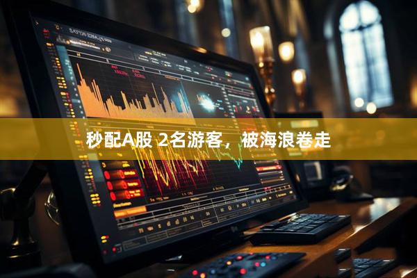 秒配A股 2名游客，被海浪卷走