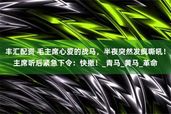 丰汇配资 毛主席心爱的战马，半夜突然发疯嘶吼！主席听后紧急下令：快撤！_青马_黄马_革命