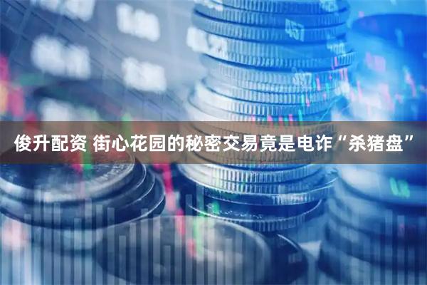 俊升配资 街心花园的秘密交易竟是电诈“杀猪盘”